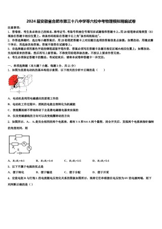 2024届安徽省合肥市第三十八中学等六校中考物理模拟精编试卷含解析.doc