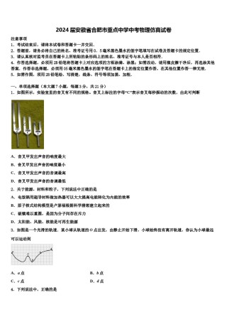 2024届安徽省合肥市重点中学中考物理仿真试卷含解析.doc