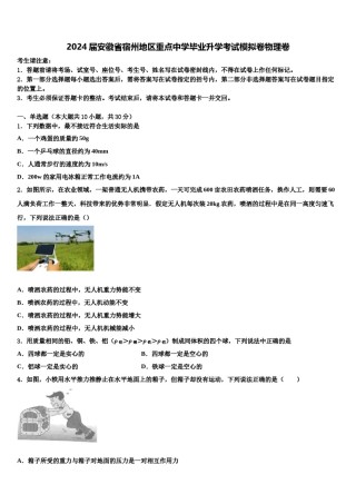 2024届安徽省宿州地区重点中学毕业升学考试模拟卷物理卷含解析.doc