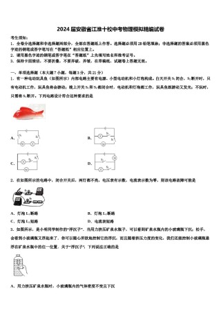 2024届安徽省江淮十校中考物理模拟精编试卷含解析.doc