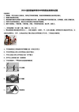 2024届安徽省蚌埠市中考物理全真模拟试题含解析.doc