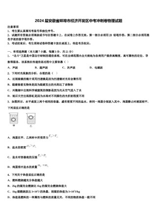 2024届安徽省蚌埠市经济开发区中考冲刺卷物理试题含解析.doc