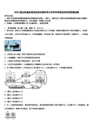 2024届山东省东昌府区梁水镇中学心中学中考适应性考试物理试题含解析.doc