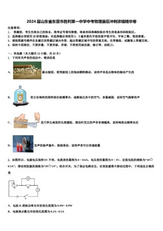 2024届山东省东营市胜利第一中学中考物理最后冲刺浓缩精华卷含解析.doc