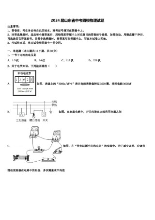 2024届山东省中考四模物理试题含解析.doc