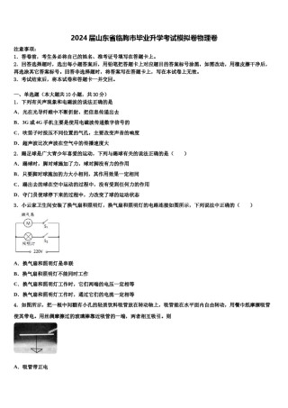 2024届山东省临朐市毕业升学考试模拟卷物理卷含解析.doc