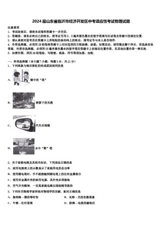 2024届山东省临沂市经济开发区中考适应性考试物理试题含解析.doc