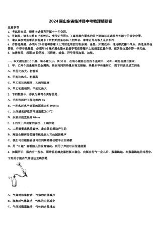 2024届山东省临沭县中考物理猜题卷含解析.doc