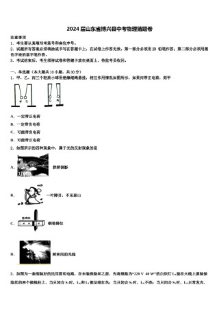 2024届山东省博兴县中考物理猜题卷含解析.doc