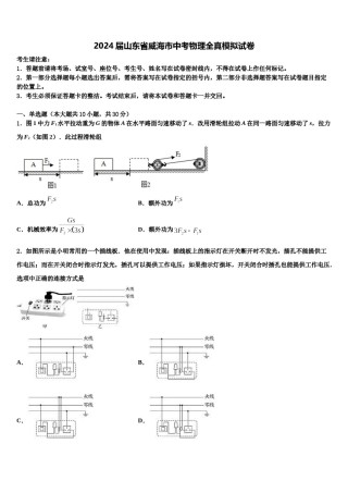 2024届山东省威海市中考物理全真模拟试卷含解析.doc