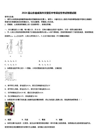 2024届山东省威海市文登区中考适应性考试物理试题含解析.doc