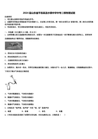 2024届山东省平邑县温水镇中学中考二模物理试题含解析.doc