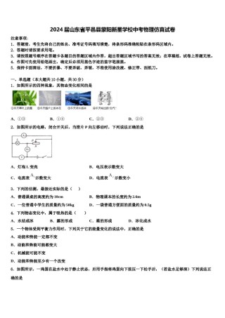 2024届山东省平邑县蒙阳新星学校中考物理仿真试卷含解析.doc
