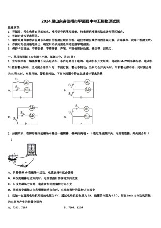 2024届山东省德州市平原县中考五模物理试题含解析.doc