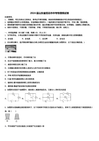 2024届山东省招远市中考物理模试卷含解析.doc