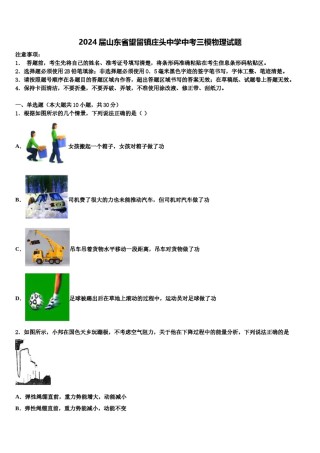 2024届山东省望留镇庄头中学中考三模物理试题含解析.doc