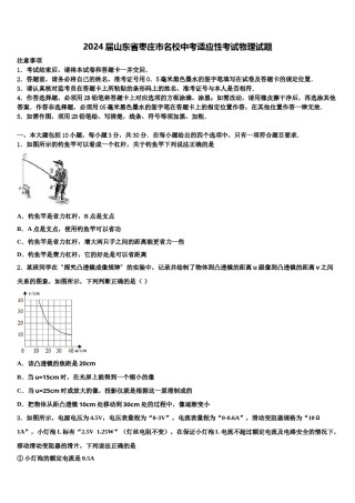2024届山东省枣庄市名校中考适应性考试物理试题含解析.doc