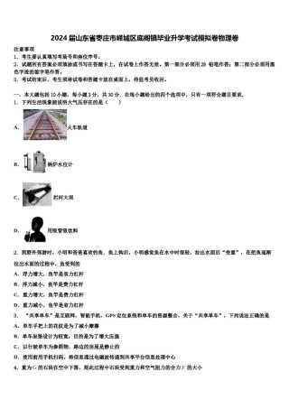 2024届山东省枣庄市峄城区底阁镇毕业升学考试模拟卷物理卷含解析.doc