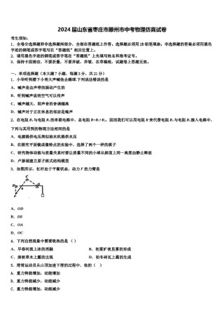 2024届山东省枣庄市滕州市中考物理仿真试卷含解析.doc