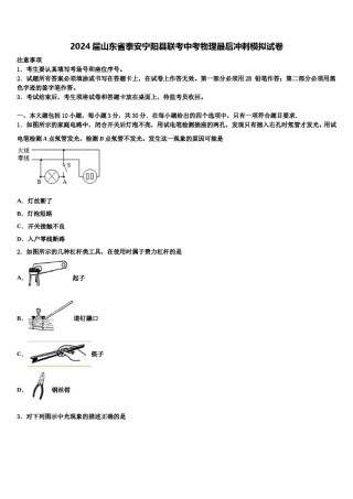 2024届山东省泰安宁阳县联考中考物理最后冲刺模拟试卷含解析.doc