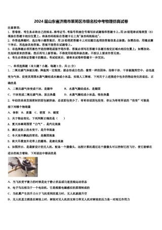 2024届山东省济南市莱芜区市级名校中考物理仿真试卷含解析.doc
