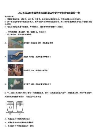 2024届山东省淄博市临淄区金山中学中考物理考前最后一卷含解析.doc