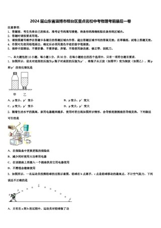 2024届山东省淄博市桓台区重点名校中考物理考前最后一卷含解析.doc