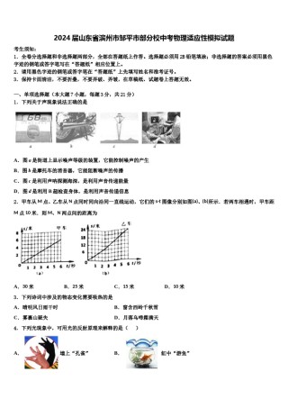 2024届山东省滨州市邹平市部分校中考物理适应性模拟试题含解析.doc