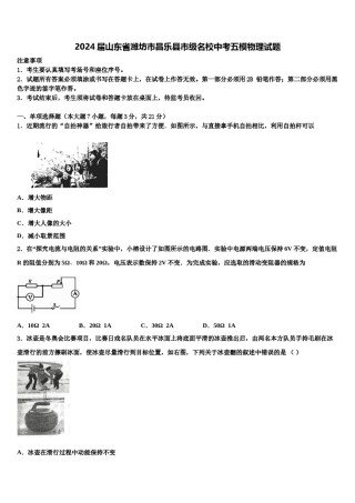 2024届山东省潍坊市昌乐县市级名校中考五模物理试题含解析.doc