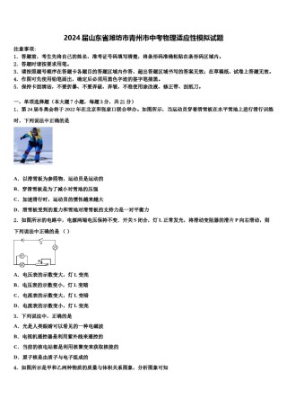 2024届山东省潍坊市青州市中考物理适应性模拟试题含解析.doc