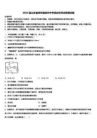 2024届山东省潍坊诸城市中考适应性考试物理试题含解析.doc
