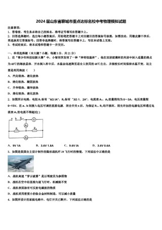2024届山东省聊城市重点达标名校中考物理模拟试题含解析.doc