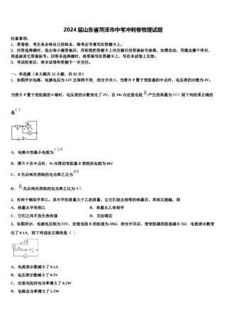 2024届山东省菏泽市中考冲刺卷物理试题含解析.doc