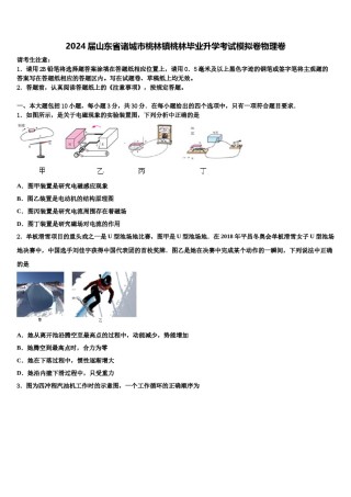 2024届山东省诸城市桃林镇桃林毕业升学考试模拟卷物理卷含解析.doc