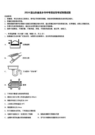 2024届山东省金乡市中考适应性考试物理试题含解析.doc