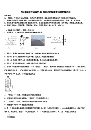 2024届山东省青岛42中重点名校中考猜题物理试卷含解析.doc