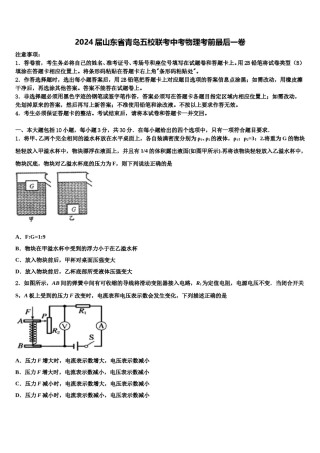2024届山东省青岛五校联考中考物理考前最后一卷含解析.doc