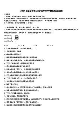 2024届山东省青岛市广雅中学中考物理仿真试卷含解析.doc