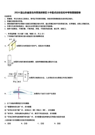 2024届山东省青岛市西海岸新区6中重点达标名校中考物理猜题卷含解析.doc