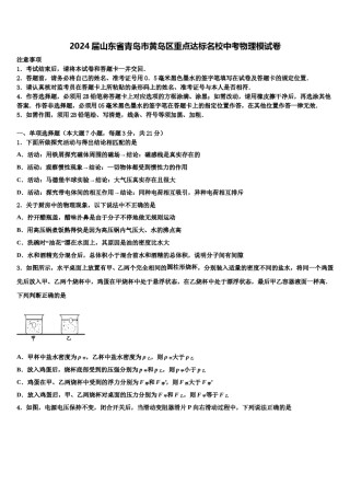 2024届山东省青岛市黄岛区重点达标名校中考物理模试卷含解析.doc