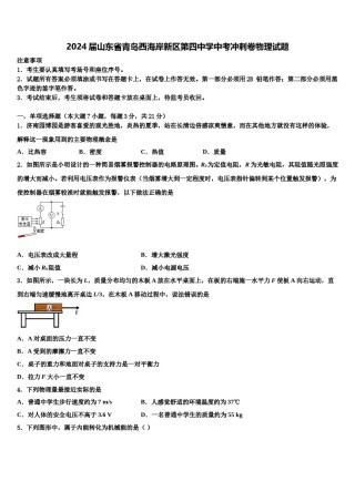 2024届山东省青岛西海岸新区第四中学中考冲刺卷物理试题含解析.doc