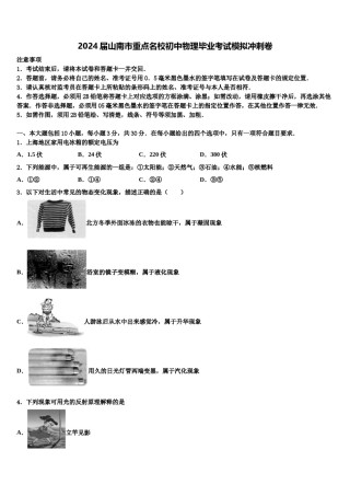 2024届山南市重点名校初中物理毕业考试模拟冲刺卷含解析.doc