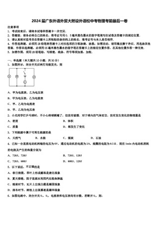 2024届广东外语外贸大附设外语校中考物理考前最后一卷含解析.doc