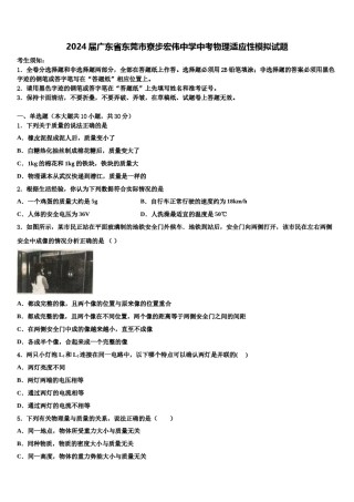 2024届广东省东莞市寮步宏伟中学中考物理适应性模拟试题含解析.doc