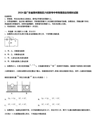2024届广东省惠州惠阳区六校联考中考物理适应性模拟试题含解析.doc