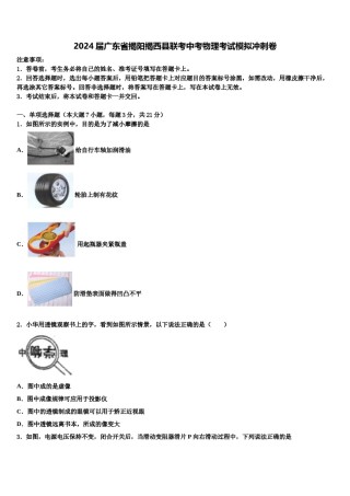 2024届广东省揭阳揭西县联考中考物理考试模拟冲刺卷含解析.doc