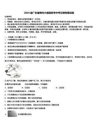 2024届广东省梅州大埔县联考中考五模物理试题含解析.doc