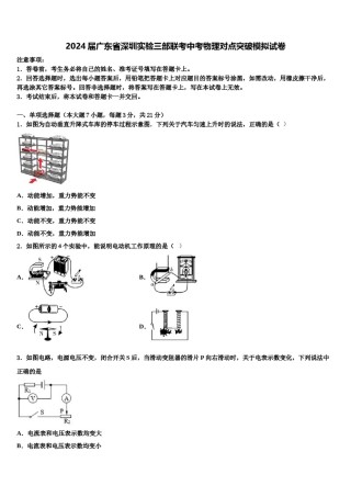 2024届广东省深圳实验三部联考中考物理对点突破模拟试卷含解析.doc
