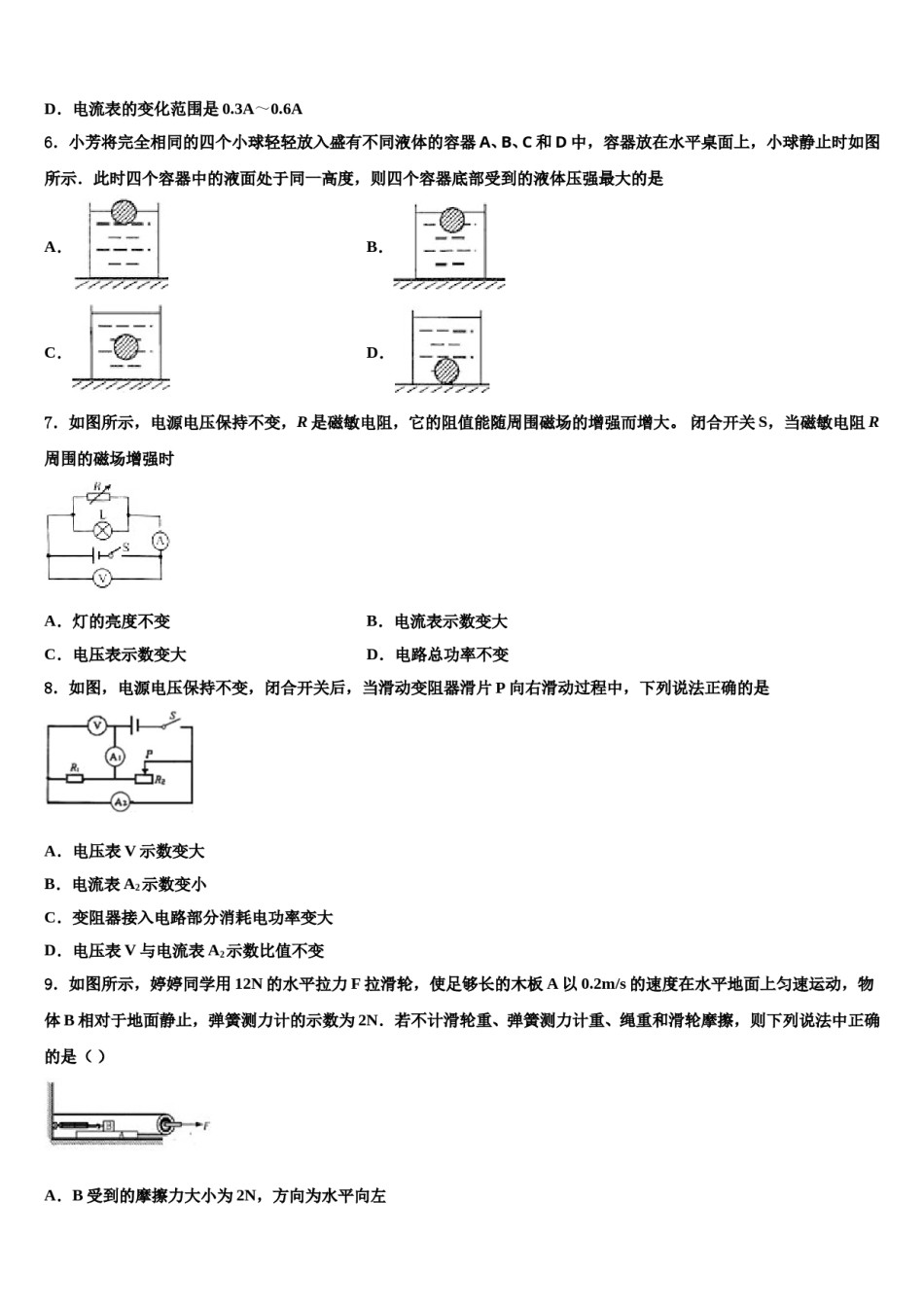 2024届广东省深圳市宝安区宝安中学中考物理考试模拟冲刺卷含解析.doc_第2页
