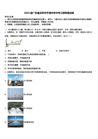 2024届广东省深圳市平湖中学中考三模物理试题含解析.doc